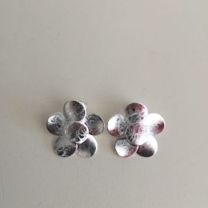 Aros Bañados en Plata