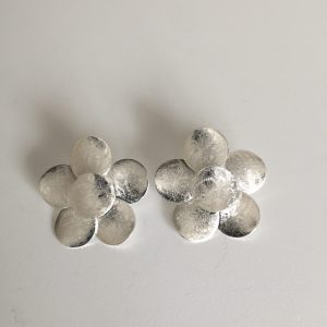 Aros Bañados en Plata