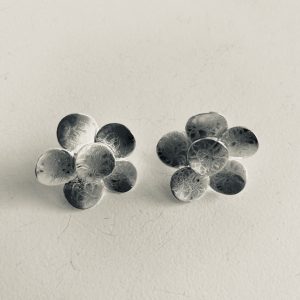 Aros Bañados en Plata