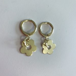 Aros Bañados en oro