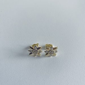 Aros Bañados en Oro con Microcircones