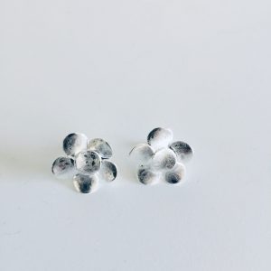 Aros Bañados en Plata