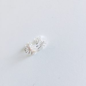 Aros Hojas Bañados en Plata